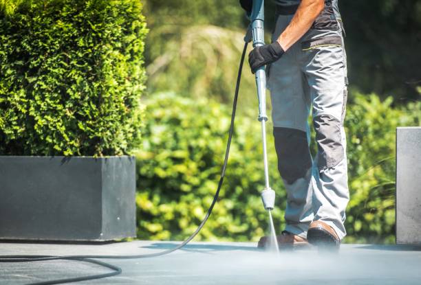 Best Paint Preparation  in Parker, CO